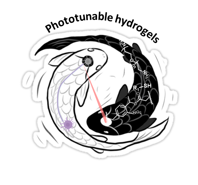 link to Molecularly Engineered Biomaterials