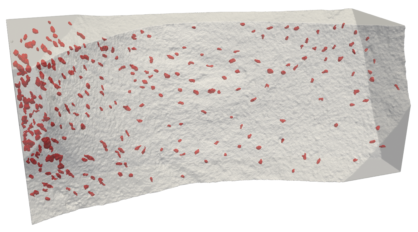 Enlarged view: 3D visualization of lacunae in bone